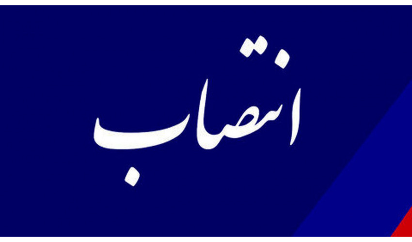 مدیر امور پژوهشی و ارزشیابی «سمت» منصوب شد